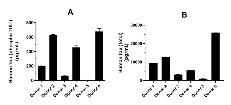 Sandwich ELISA - Human Tau (phospho T181) ELISA Kit, Chemiluminescent - Extracellular (AB325895)
