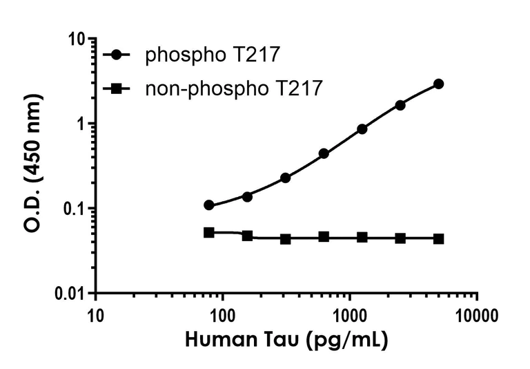 Sandwich ELISA - Human Tau (phospho T217) Antibody Pair - BSA and Azide free (AB314557)