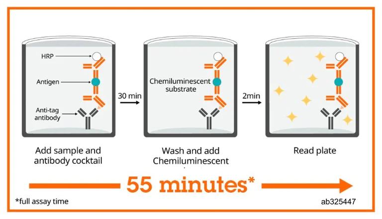 Sandwich ELISA - Human Tau (phospho T217) ELISA Kit, Chemiluminescent - Extracellular (AB325447)