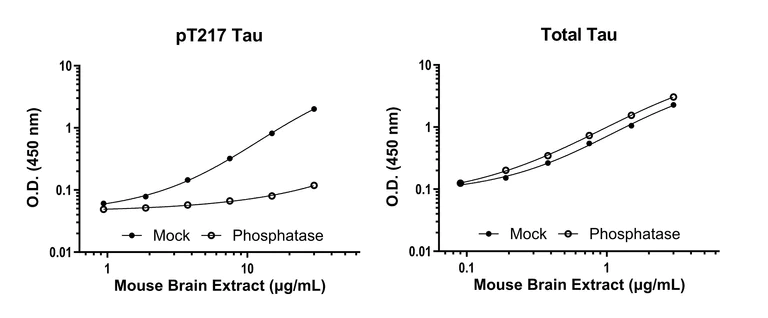 Sandwich ELISA - Human Tau (phospho T217) ELISA Kit - Intracellular (AB318935)