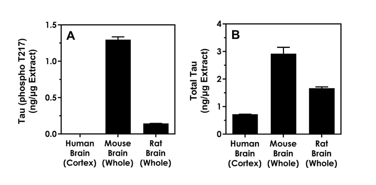 Sandwich ELISA - Human Tau (phospho T217) ELISA Kit - Intracellular (AB318935)