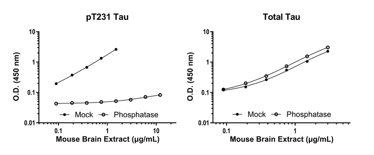 Sandwich ELISA - Human Tau (phospho T231) ELISA Kit- Intracellular (AB322366)