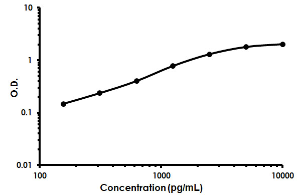 Sandwich ELISA - Human TCblR ELISA Kit (8D6A) (AB213759)