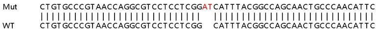 Sanger Sequencing - Human TDRD7 knockout A549 cell line (AB267048)