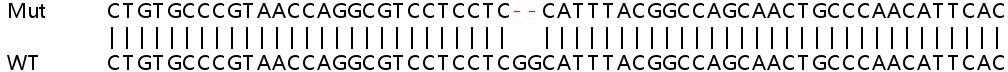 Sanger Sequencing - Human TDRD7 knockout A549 cell lysate (AB258228)