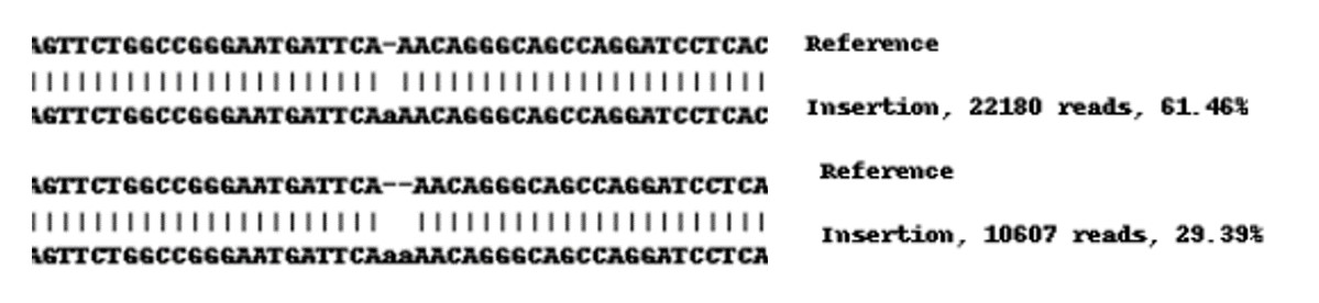 Next Generation Sequencing - Human TEAD1 knockout A549 cell lysate (AB261718), expandable thumbnail