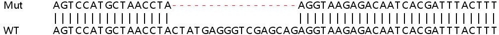 Sanger Sequencing - Human TEC knockout HeLa cell line (AB265384), expandable thumbnail
