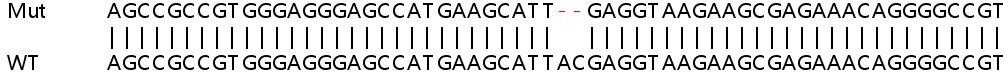 Sanger Sequencing - Human TECR (GPSN2) knockout HEK-293T cell line (AB266276)