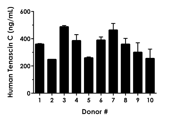 Sandwich ELISA - Human Tenascin C ELISA Kit (AB277081)