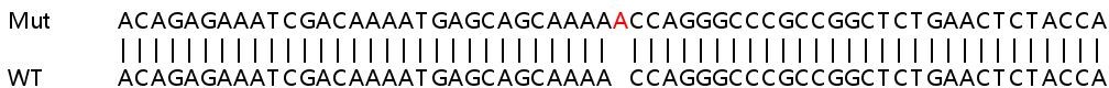 Sanger Sequencing - Human TFDP2 (DP2) knockout HEK-293T cell line (AB267291), expandable thumbnail