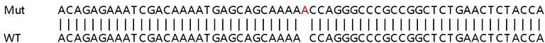 Sanger Sequencing - Human TFDP2 (DP2) knockout HEK-293T cell lysate (AB263383)