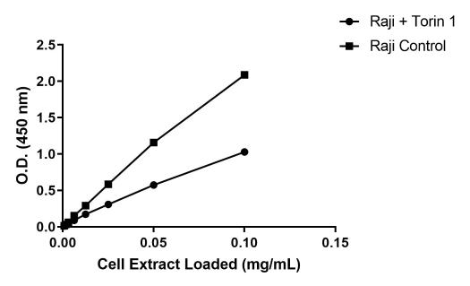 Human TFEB (phospho S211) Antibody Pair - BSA and Azide free