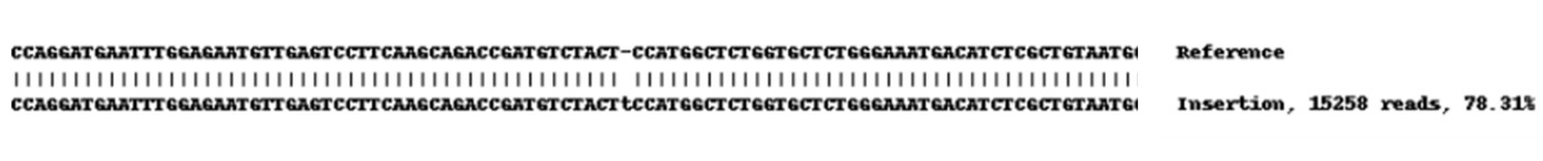 Next Generation Sequencing - Human TGFBR2 (TGF beta Receptor II) knockout A549 cell line (AB261863), expandable thumbnail