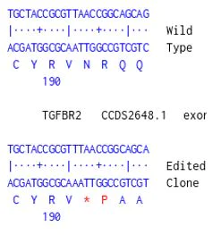 Next Generation Sequencing - Human TGFBR2 (TGF beta Receptor II) knockout A549 cell line (AB277895)