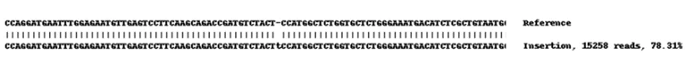 Next Generation Sequencing - Human TGFBR2 (TGF beta Receptor II) knockout A549 cell lysate (AB261672)