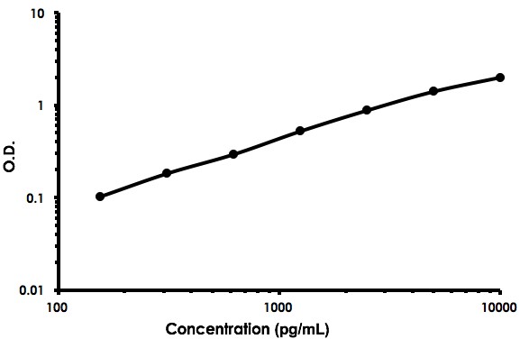 Sandwich ELISA - Human TGFBR3 ELISA Kit (AB213837)