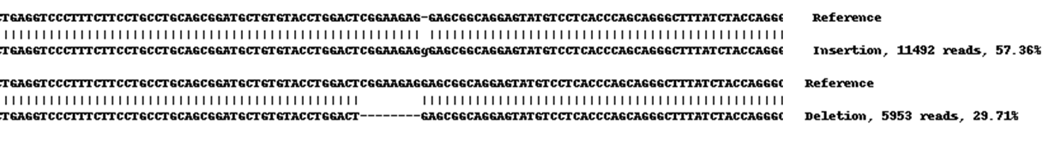 Next Generation Sequencing - Human TGM2 (Transglutaminase 2) knockout A549 cell line (AB261876), expandable thumbnail
