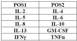 Human Th1/Th2 Antibody Array (10 Targets) - Quantitative
