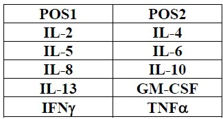 Multiplex Protein Detection - Human Th1/Th2 Antibody Array (10 Targets) - Quantitative (AB197456)