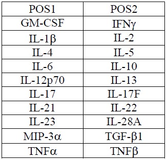 Multiplex Protein Detection - Human Th1/Th2/Th17 Antibody Array (20 Targets) - Quantitative (AB197457)