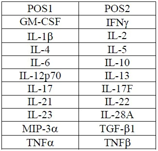 Multiplex Protein Detection - Human Th1/Th2/Th17 Antibody Array (20 Targets) - Quantitative (AB197457)