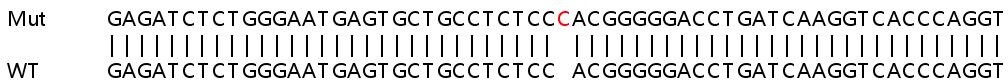 Human THEMIS2 (ICB1) knockout A549 cell line