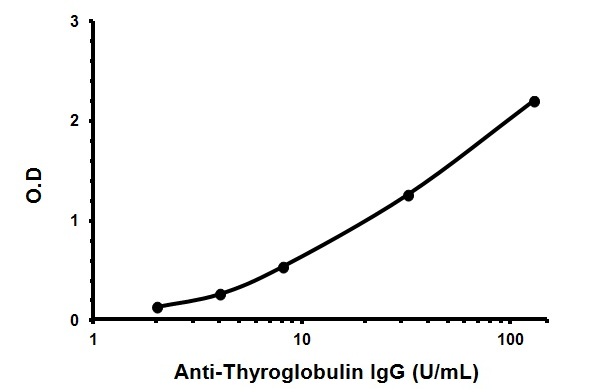 Indirect ELISA - Human Anti-Thyroglobulin ELISA Kit (AB178631)