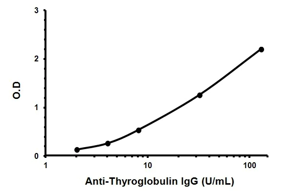 Indirect ELISA - Human Anti-Thyroglobulin ELISA Kit (AB178631)