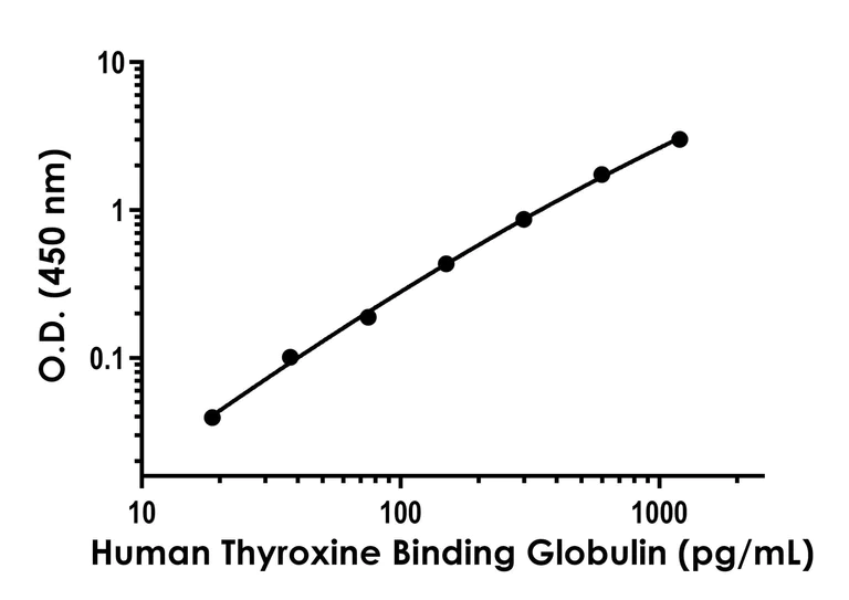 Sandwich ELISA - Human Thyroxine Binding Globulin ELISA Kit (AB289642)