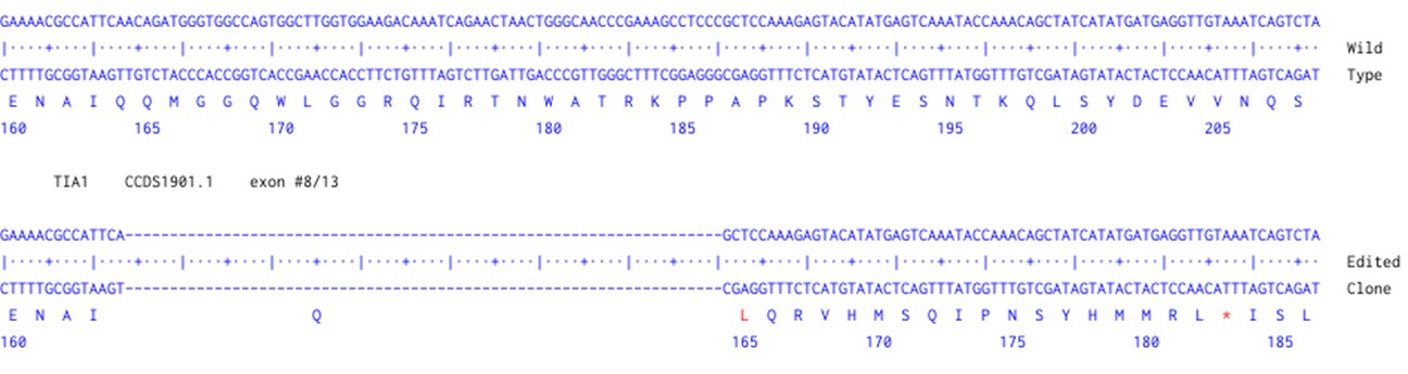 Human TIA1 knockout A549 cell line