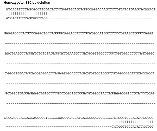 Sanger Sequencing - Human TICAM1 knockout U-87MG cell line (AB305279)