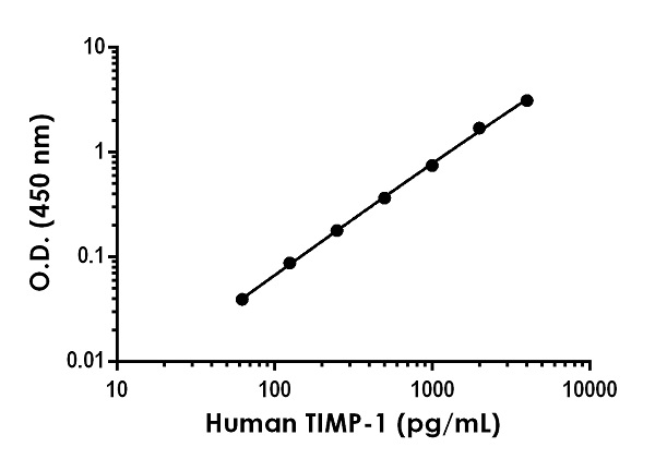 Sandwich ELISA - Human TIMP1 ELISA Kit (AB187394), expandable thumbnail