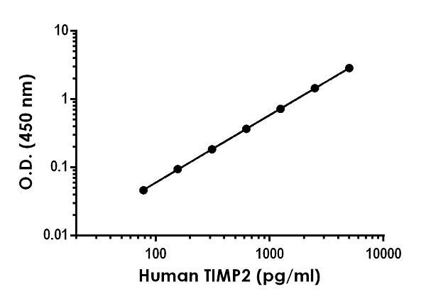 Sandwich ELISA - Human TIMP2 ELISA Kit (AB270213), expandable thumbnail