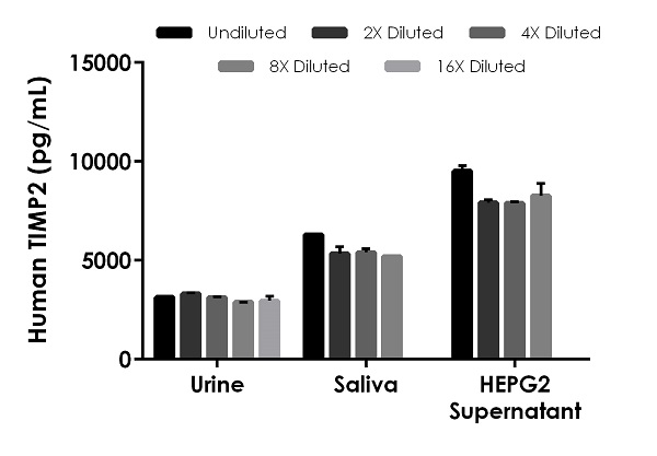 Sandwich ELISA - Human TIMP2 ELISA Kit (ab270213), expandable thumbnail