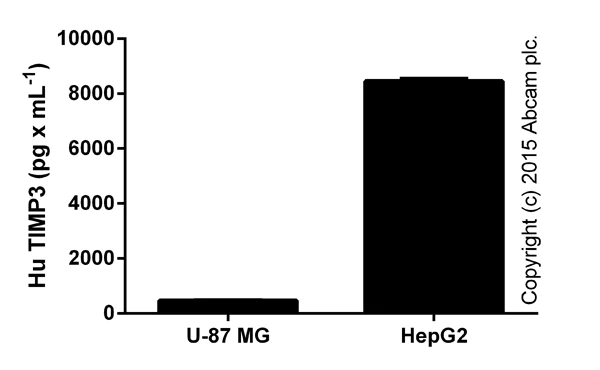 ELISA - Human TIMP3 ELISA Kit (MIG-5) (AB119608)