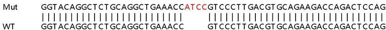 Sanger Sequencing - Human TLDC2 (C20orf118) knockout A549 cell line (AB267101)