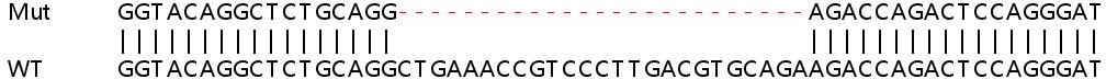 Sanger Sequencing - Human TLDC2 (C20orf118) knockout A549 cell lysate (AB259182), expandable thumbnail