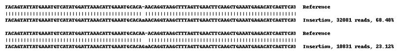 Next Generation Sequencing - Human TLE1 knockout MCF7 cell line (AB269498), expandable thumbnail