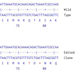 Next Generation Sequencing - Human TLE1 knockout MCF7 cell line (AB269498)