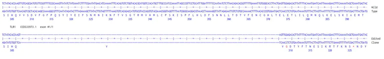 Next Generation Sequencing - Human TLR1 knockout A549 cell line (AB289019)