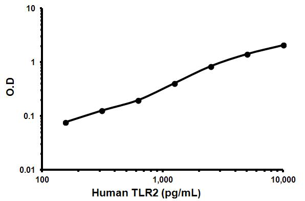 Sandwich ELISA - Human TLR2 ELISA Kit (CD282) (AB131556), expandable thumbnail