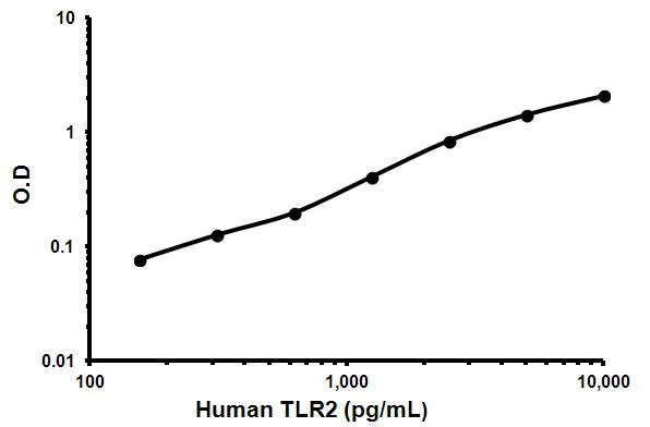 Sandwich ELISA - Human TLR2 ELISA Kit (CD282) (AB131556)