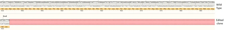 Next Generation Sequencing - Human TLR3 knockout A549 cell line (AB288996)
