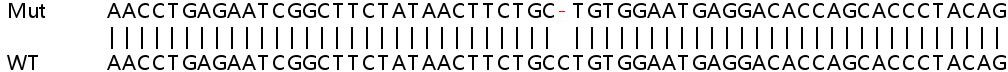 Sanger Sequencing - Human TMEM140 knockout A549 cell lysate (AB263389), expandable thumbnail
