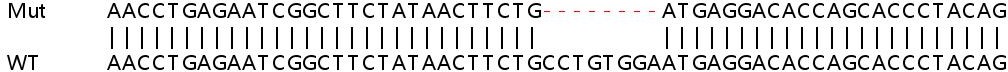 Sanger Sequencing - Human TMEM140 knockout A549 cell lysate (AB263389), expandable thumbnail