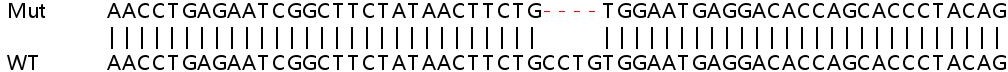 Sanger Sequencing - Human TMEM140 knockout A549 cell lysate (AB263389), expandable thumbnail