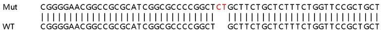 Sanger Sequencing - Human TMEM165 knockout HEK-293T cell lysate (AB259189)