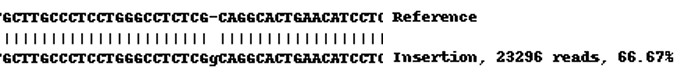 Next Generation Sequencing - Human TMEM173 knockout THP-1 cell line (AB270493), expandable thumbnail