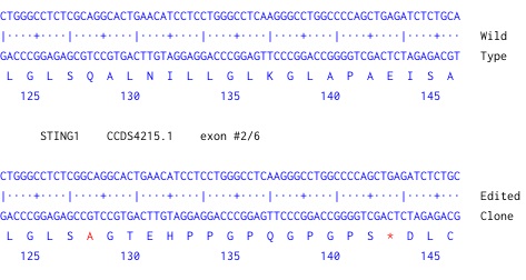 Next Generation Sequencing - Human TMEM173 knockout THP-1 cell line (ab270493), expandable thumbnail