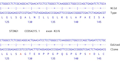 Next Generation Sequencing - Human TMEM173 knockout THP-1 cell line (AB270493)